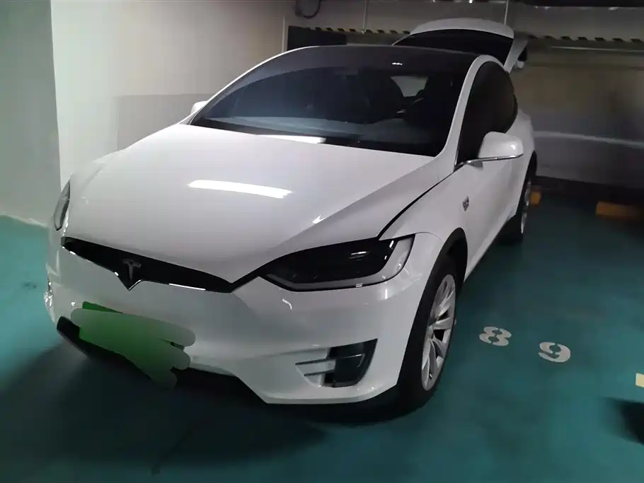 Tesla Model X 2019