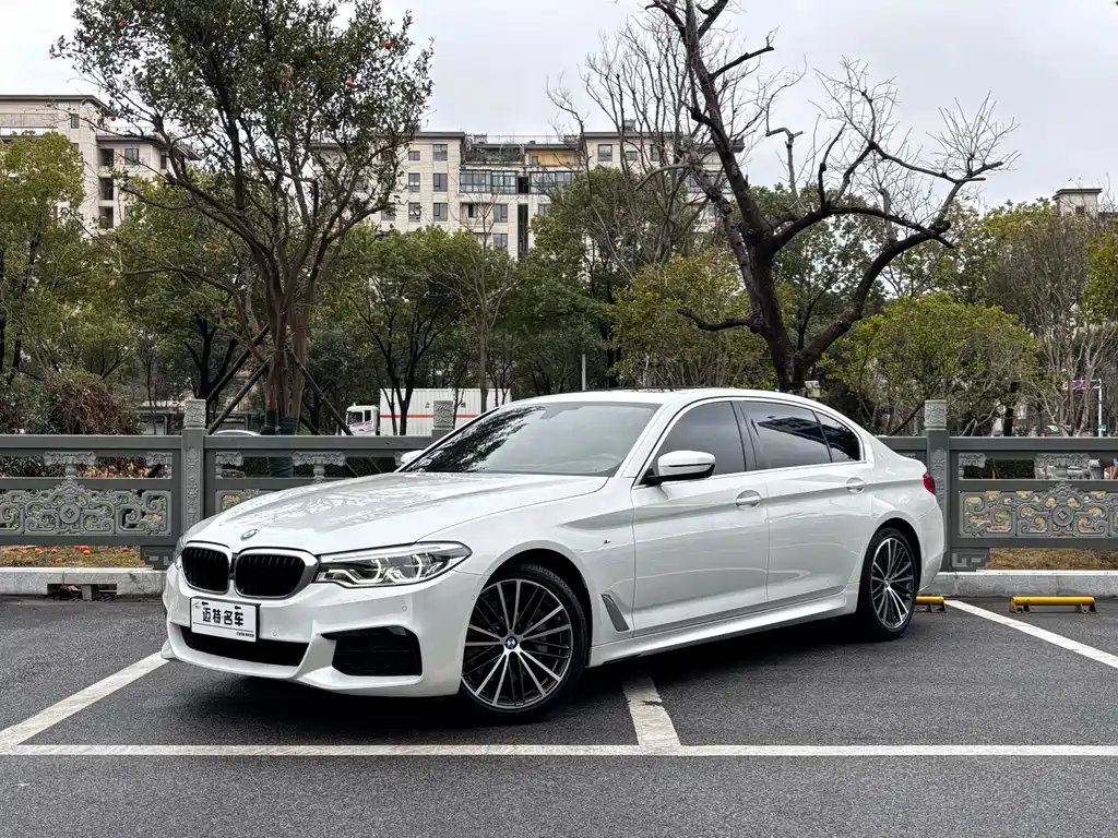 BMW 5 Series 2020