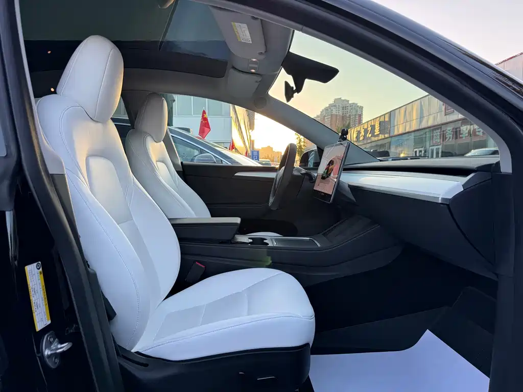 Tesla Model Y — миниатюра 19