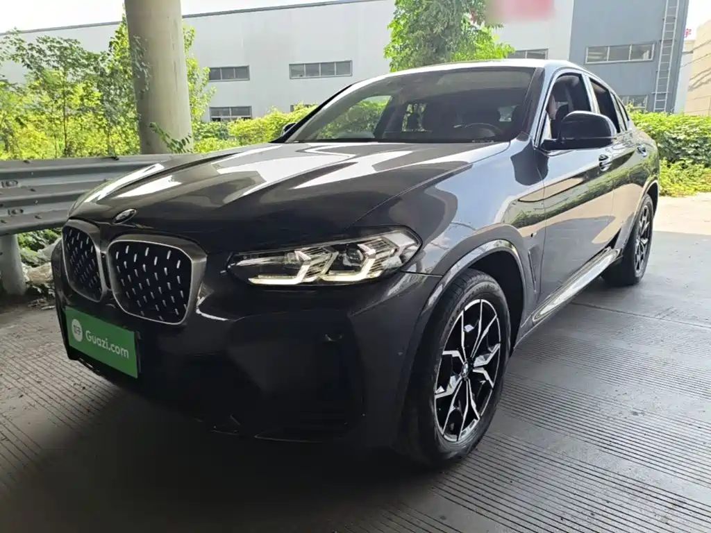 BMW X4 — миниатюра 2