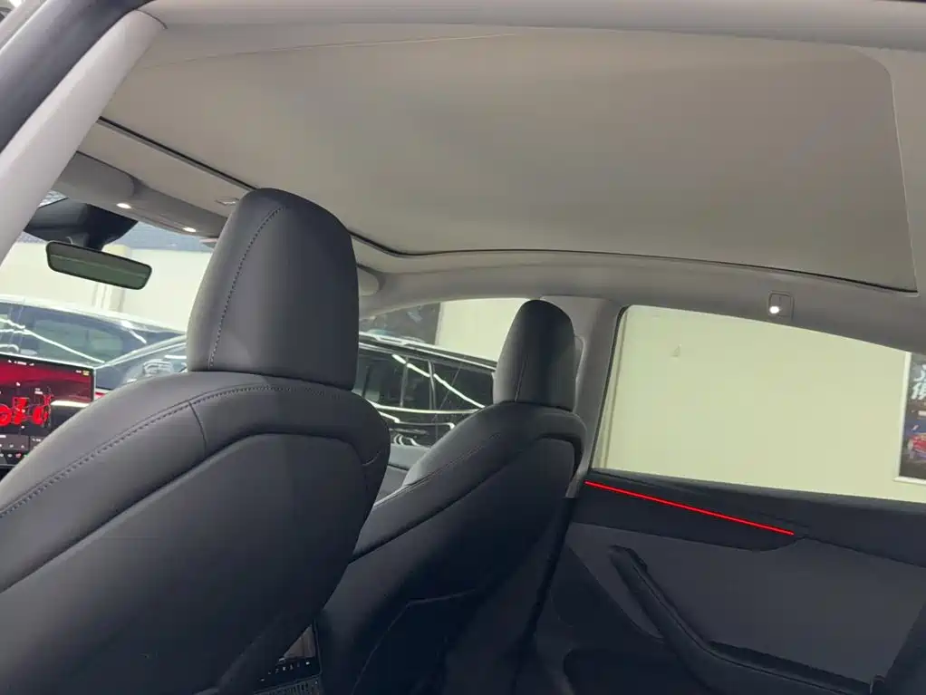 Tesla Model Y — миниатюра 18