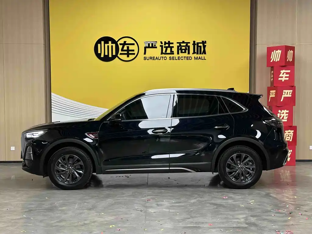 Hongqi Hongqi HS5 — миниатюра 5