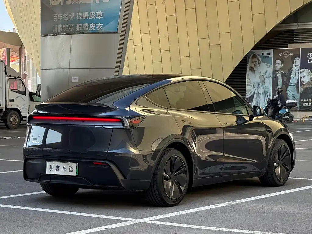 Tesla Model Y — миниатюра 4