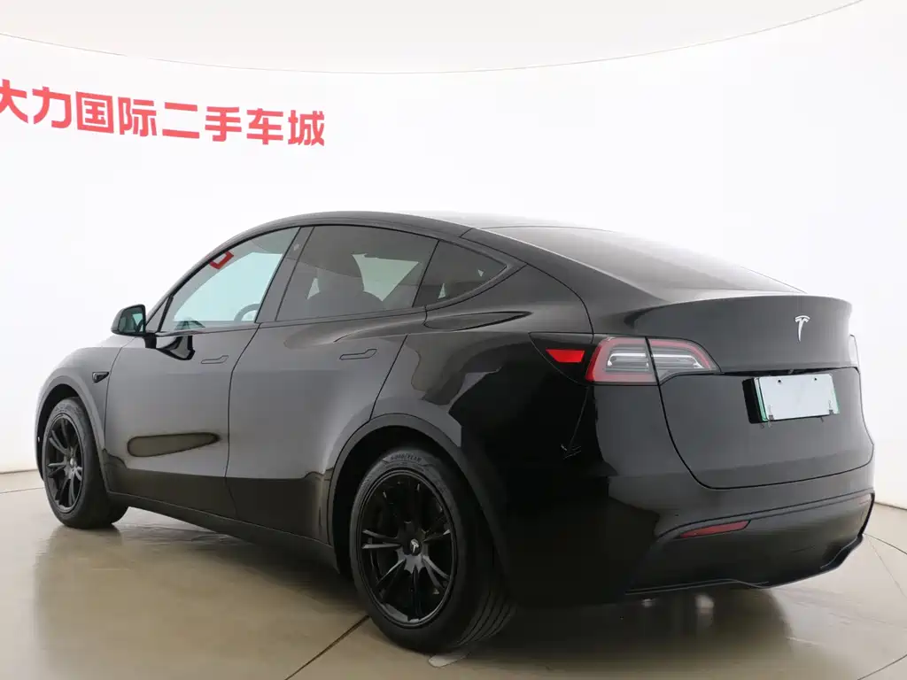 Tesla Model Y — миниатюра 12