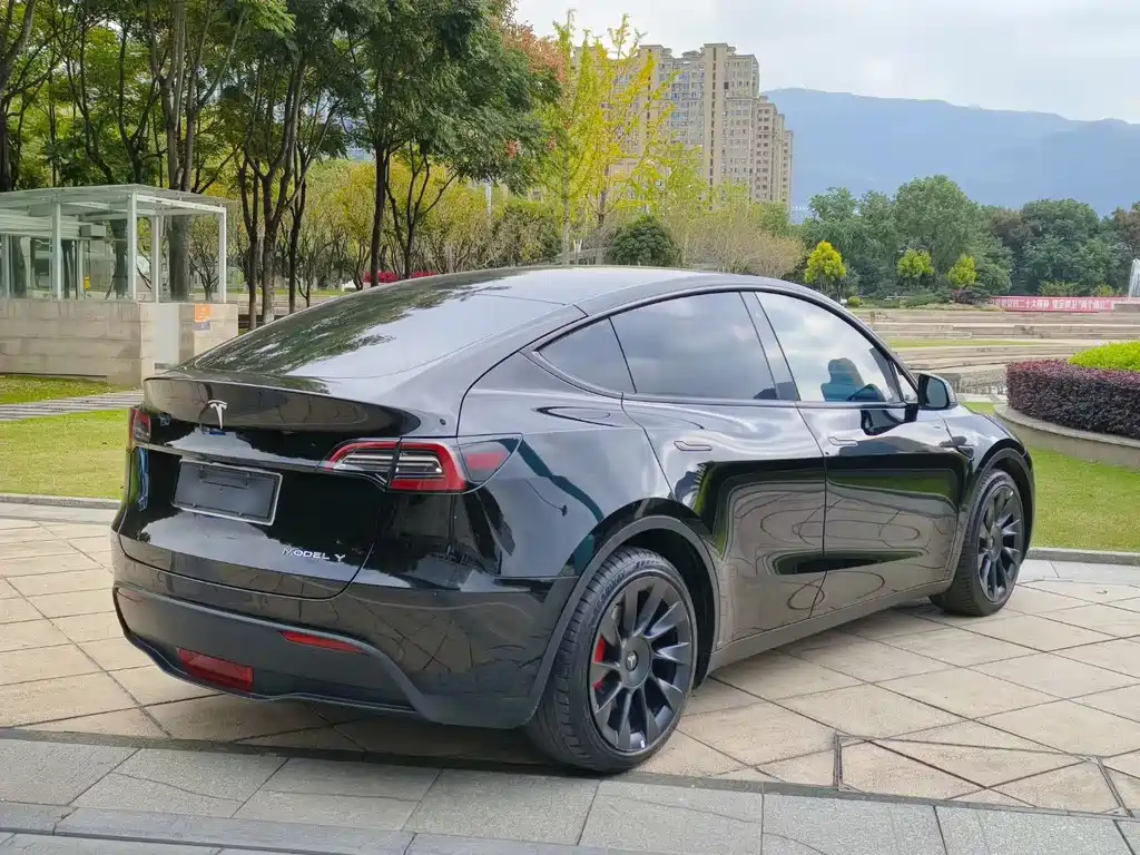 Tesla Model Y — миниатюра 8