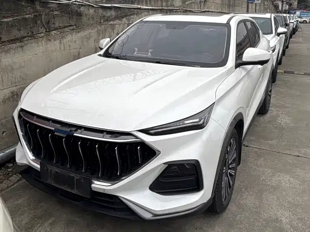 CHANGAN CHANGAN AUCHAN X5