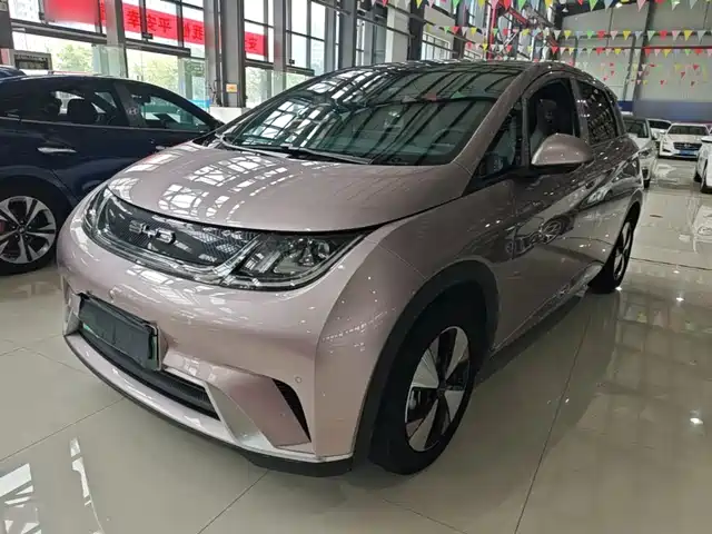 2023 BYD Dolphin