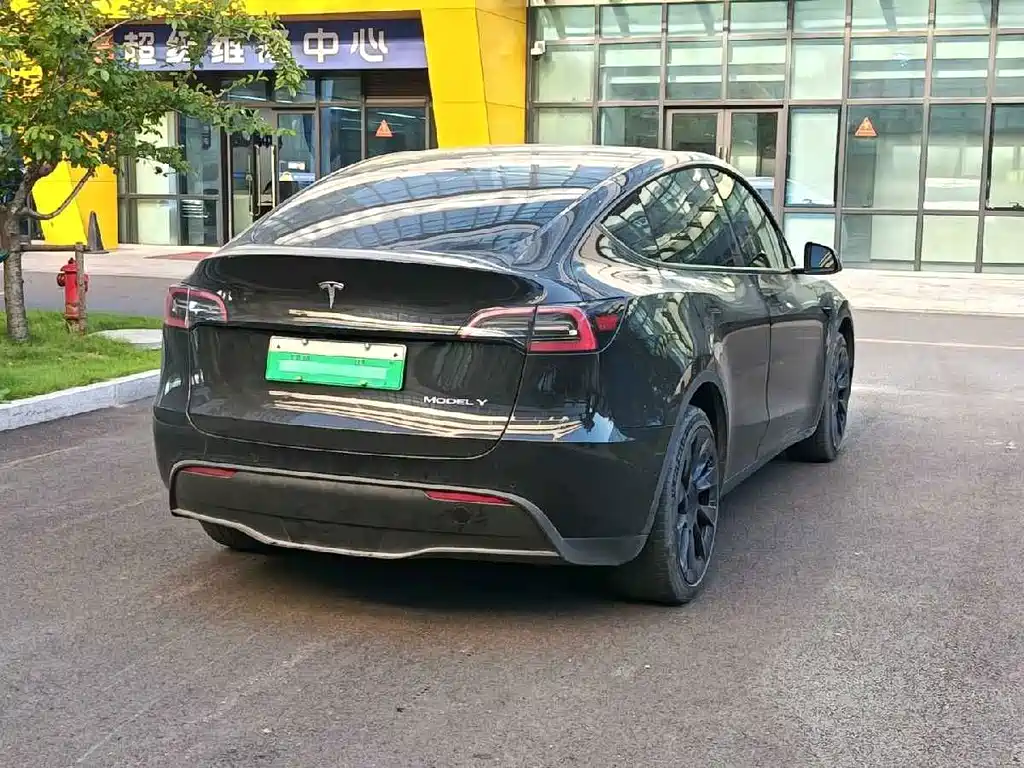Tesla Model Y — миниатюра 4