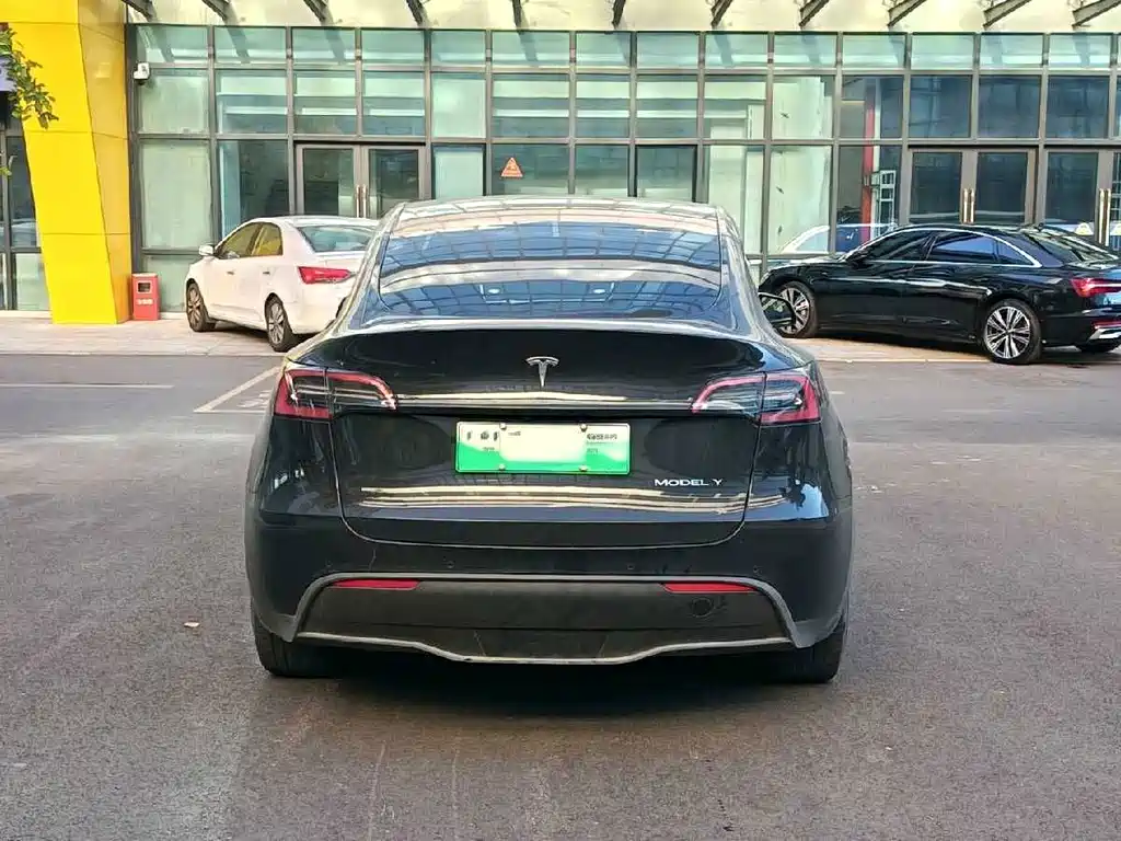 Tesla Model Y — миниатюра 5