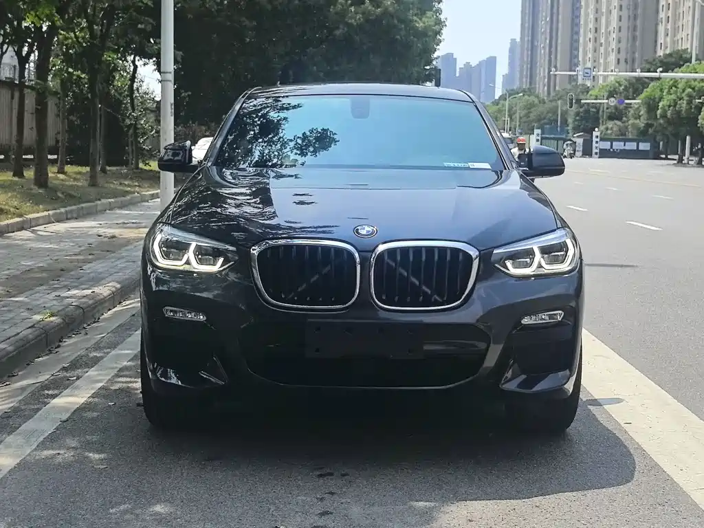 BMW X4 — миниатюра 2