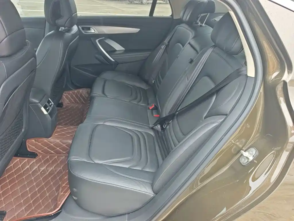 DS DS 5LS — миниатюра 17