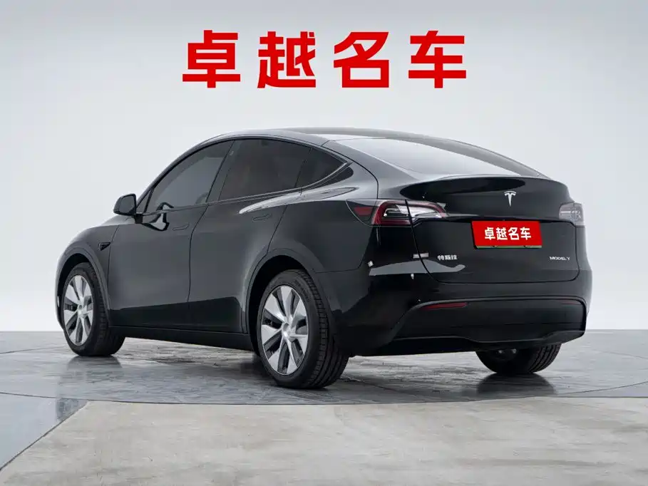 Tesla Model Y — миниатюра 8