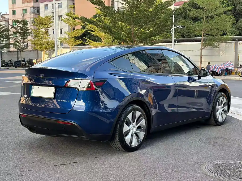 Tesla Model Y — миниатюра 23