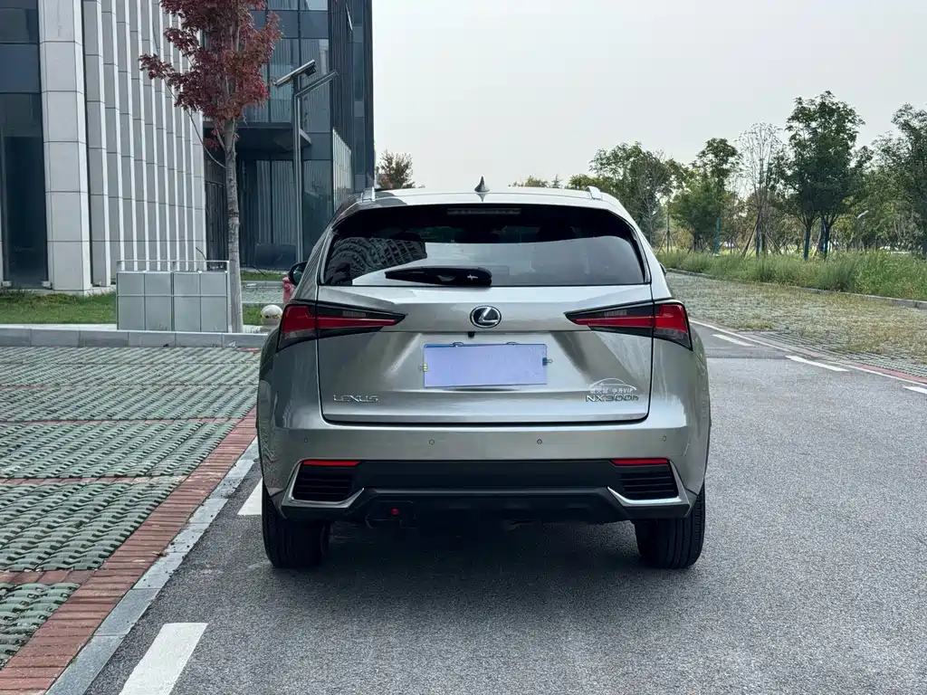 Lexus NX — миниатюра 18