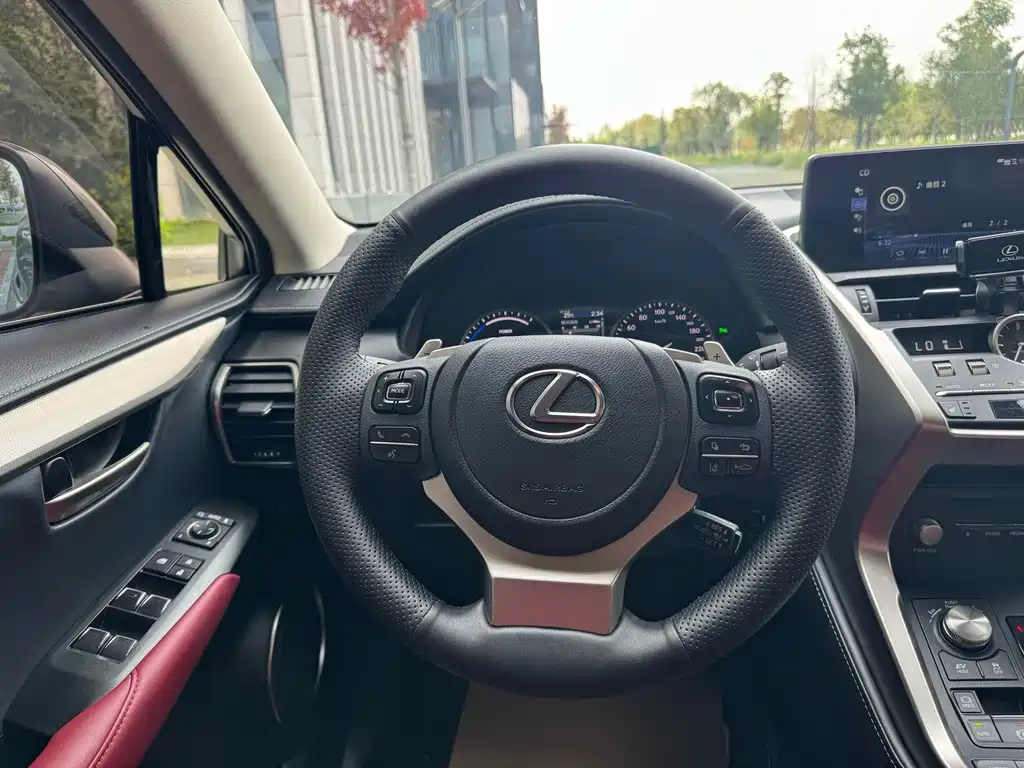 Lexus NX — миниатюра 16
