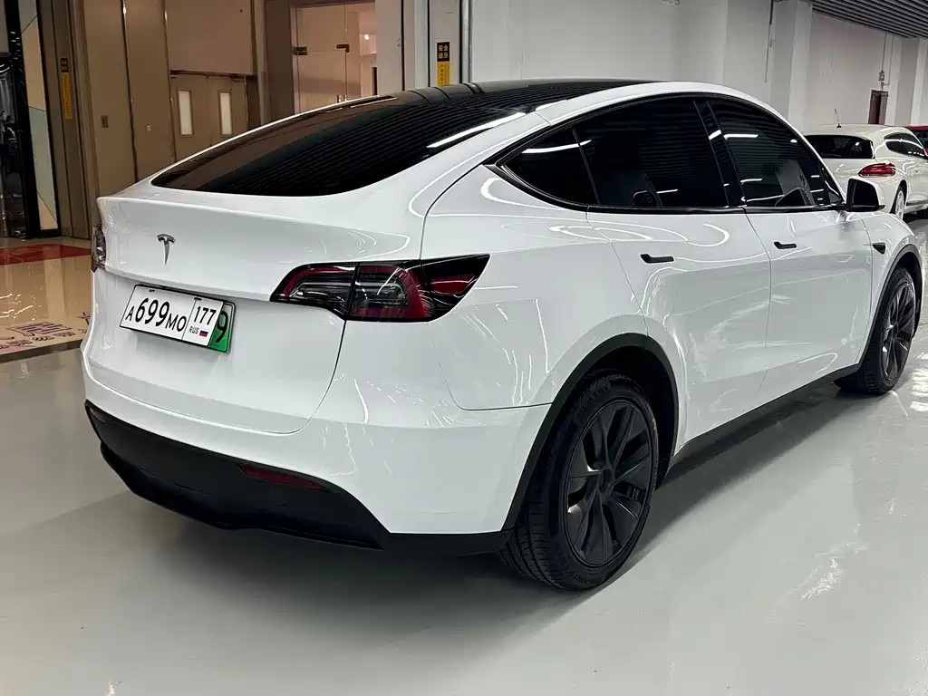 Tesla Model Y — миниатюра 16