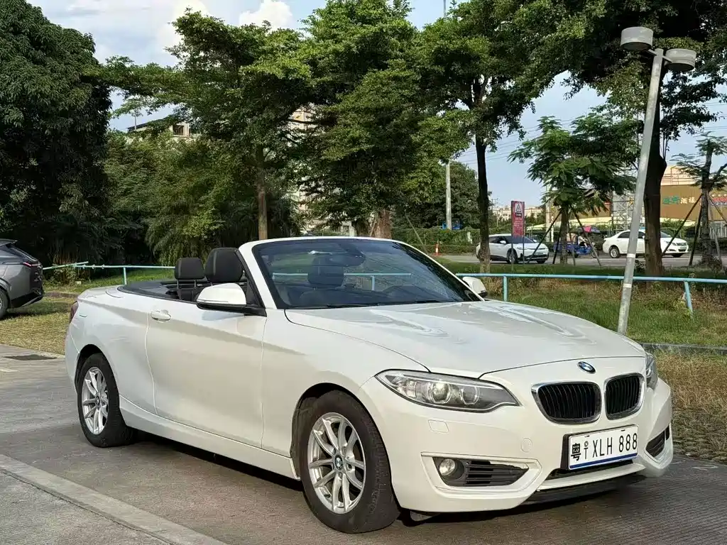 BMW 2 Series (Import) — миниатюра 3