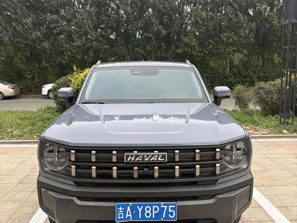 Haval Cool Dog — миниатюра 3