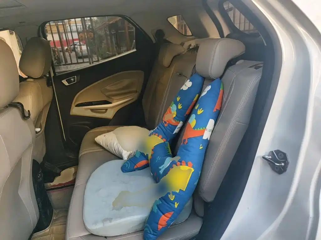 Ford Ecosport — миниатюра 18