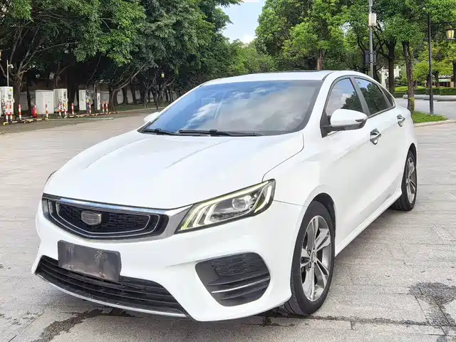 2019 Geely Binrui