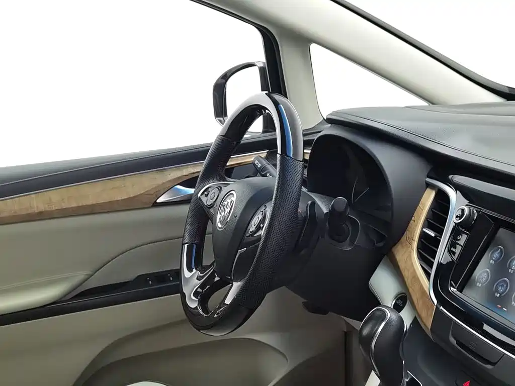 Buick GL8 — миниатюра 22