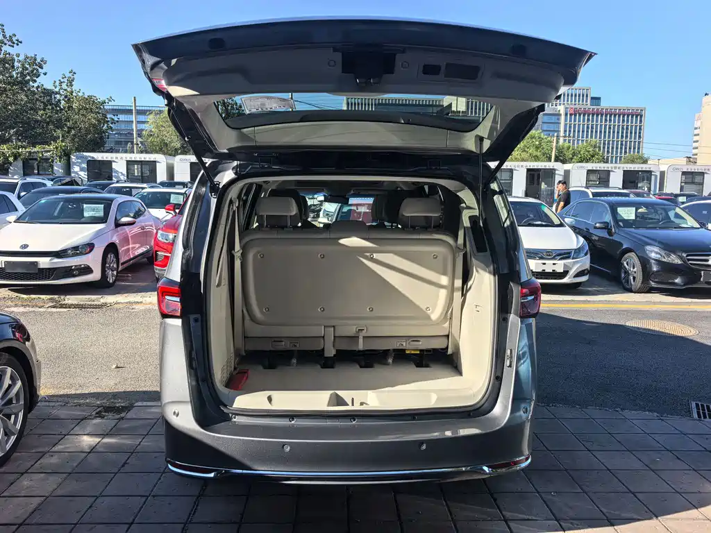 Buick GL8 — миниатюра 14