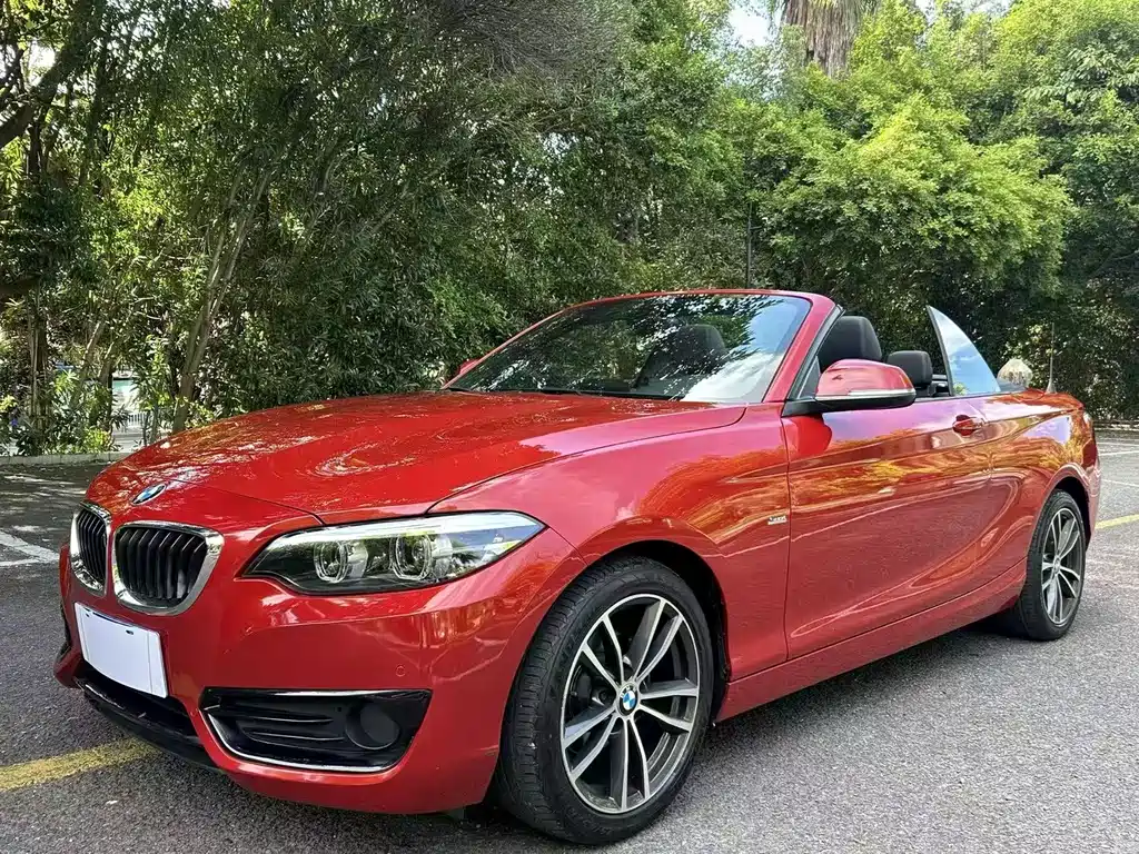 BMW 2 Series (Import)