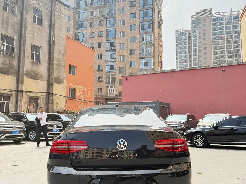 Volkswagen Magotan 2019 330TSI DSG Luxury VI