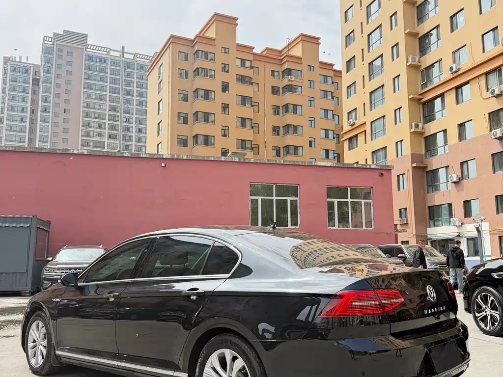Volkswagen Magotan 2019 330TSI DSG Luxury VI