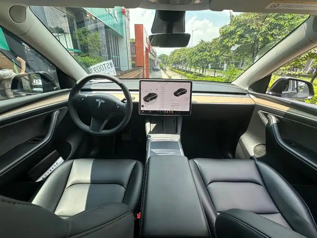 Tesla Model Y — миниатюра 3