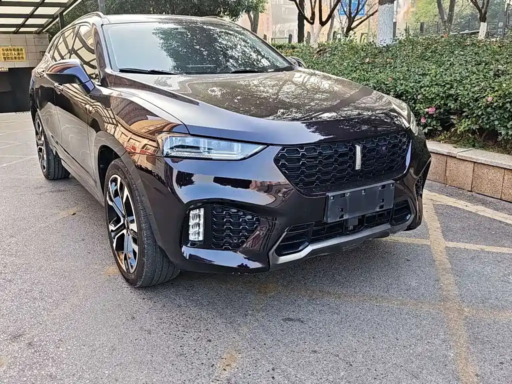 WEI PAI WEI BRAND VV7