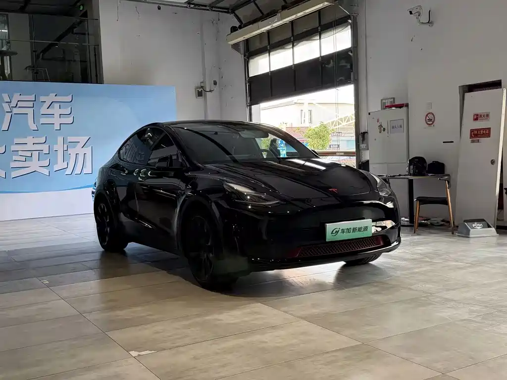 Tesla Model Y — миниатюра 3