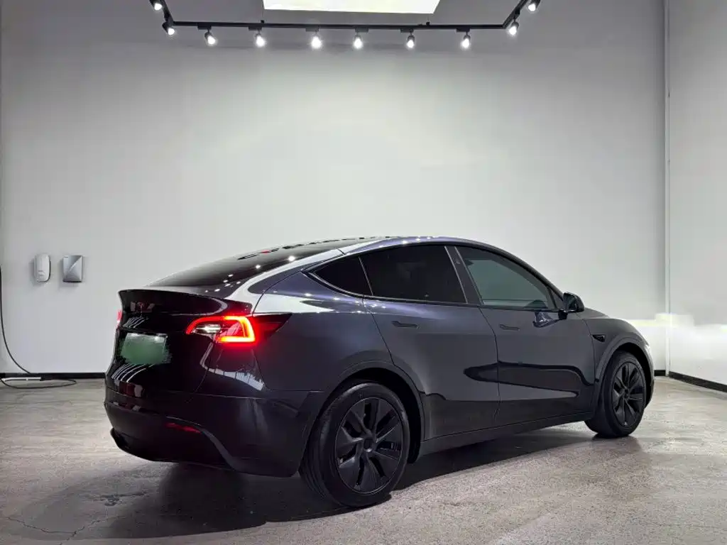 Tesla Model Y — миниатюра 10