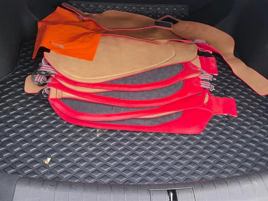 GEELY AUTOMOBILE BINRUI