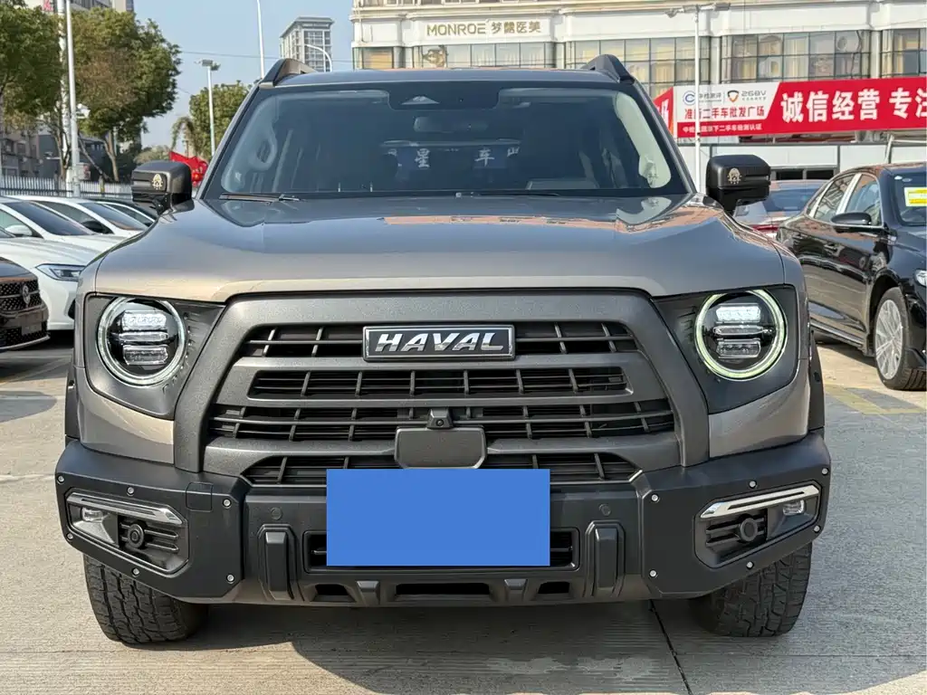 HAVAL BIG DOG