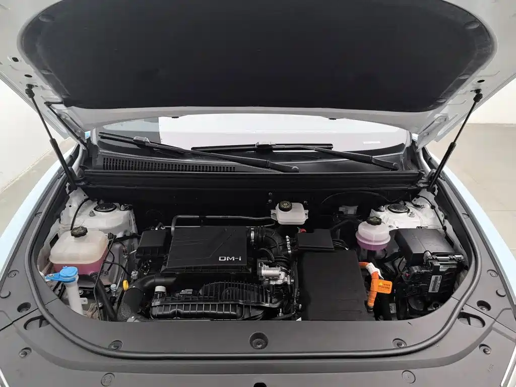 BYD Pro New Energy — миниатюра 6