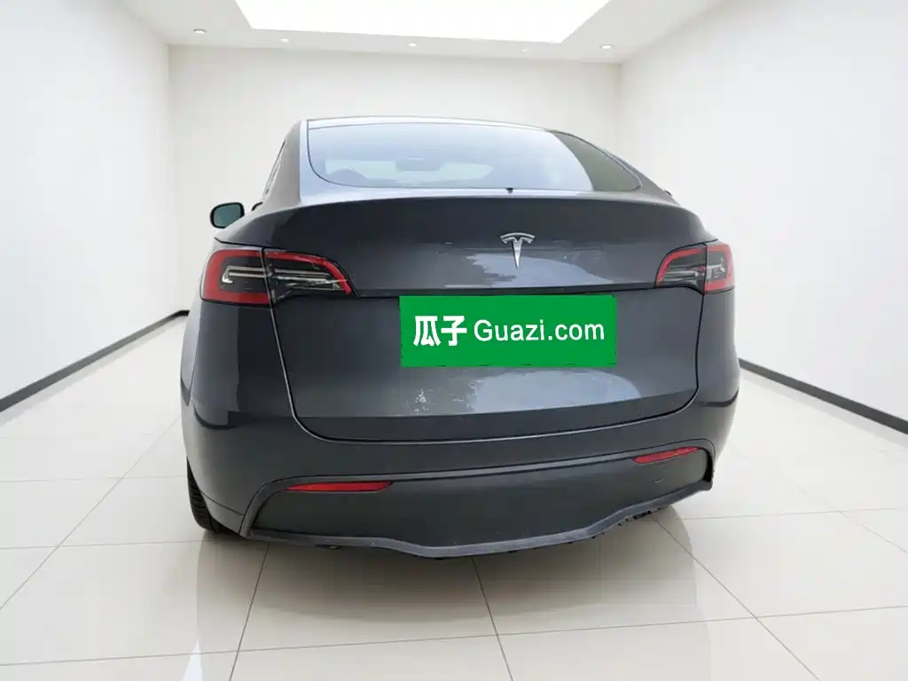 Tesla Model Y — миниатюра 3