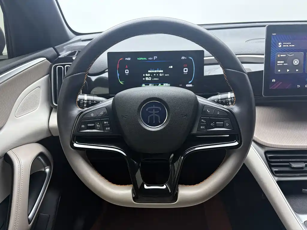 BYD Pro New Energy — миниатюра 16
