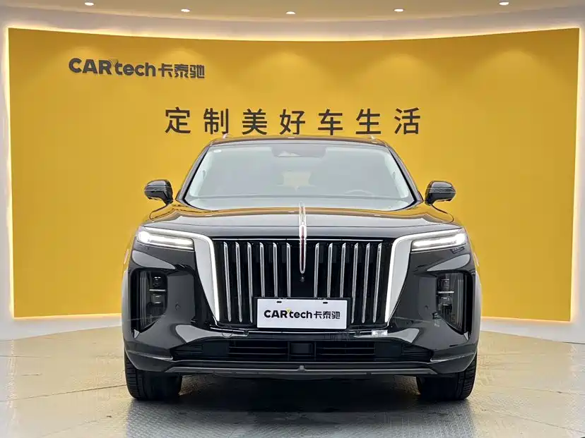 Hongqi Hongqi E-HS9 — миниатюра 3
