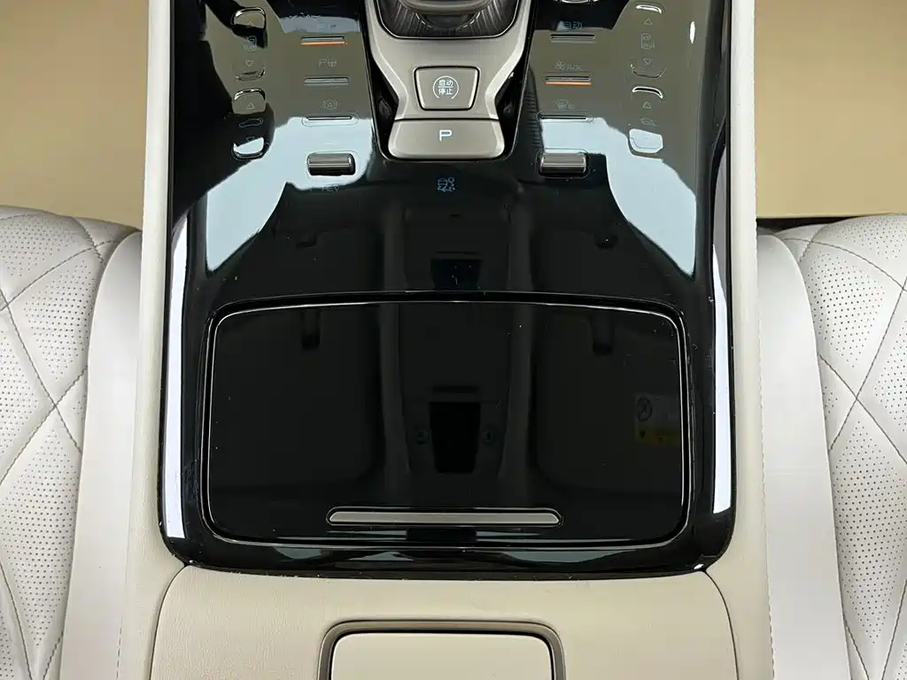 Denza Denza D9 — миниатюра 23