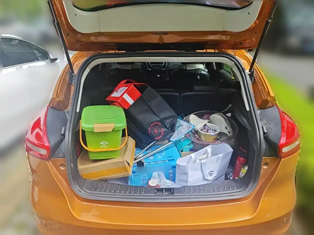 Ford Focus — миниатюра 10