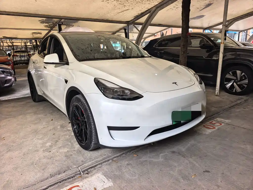 Tesla Model Y — миниатюра 3