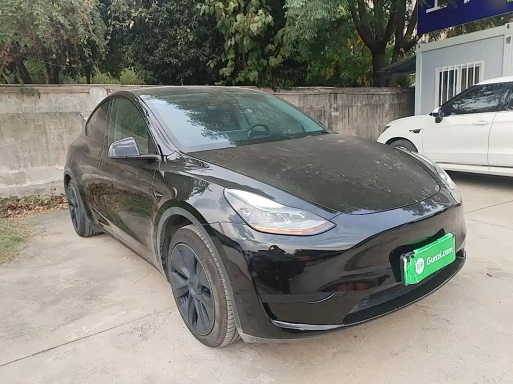 Tesla Model Y — миниатюра 4