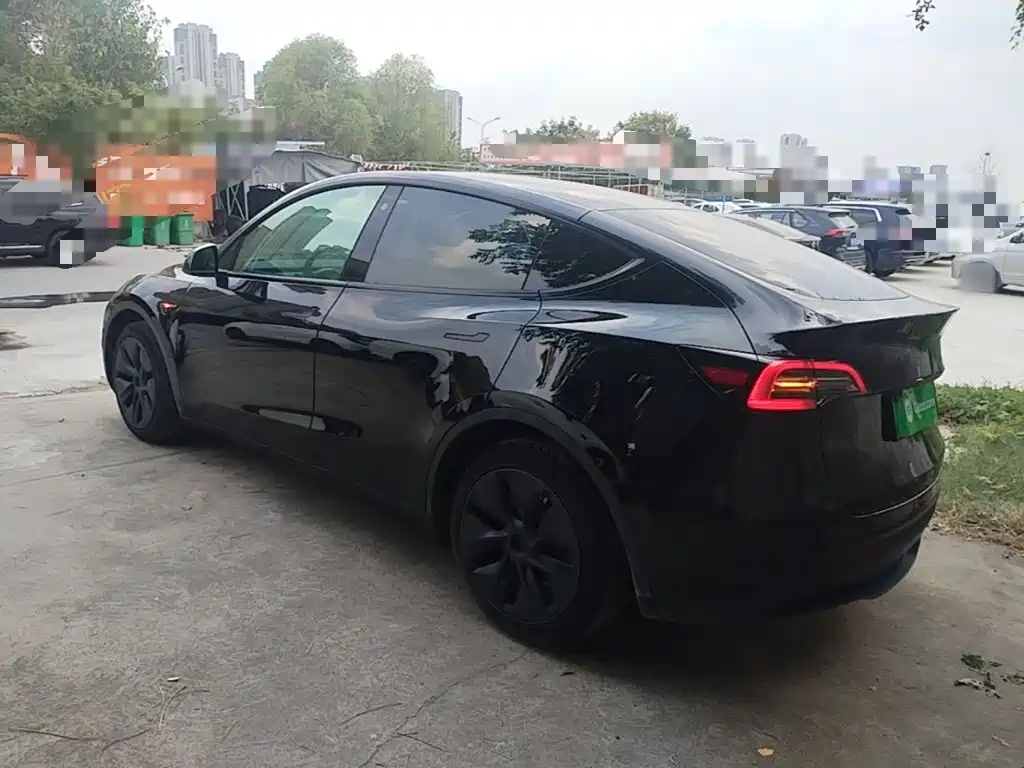 Tesla Model Y — миниатюра 5