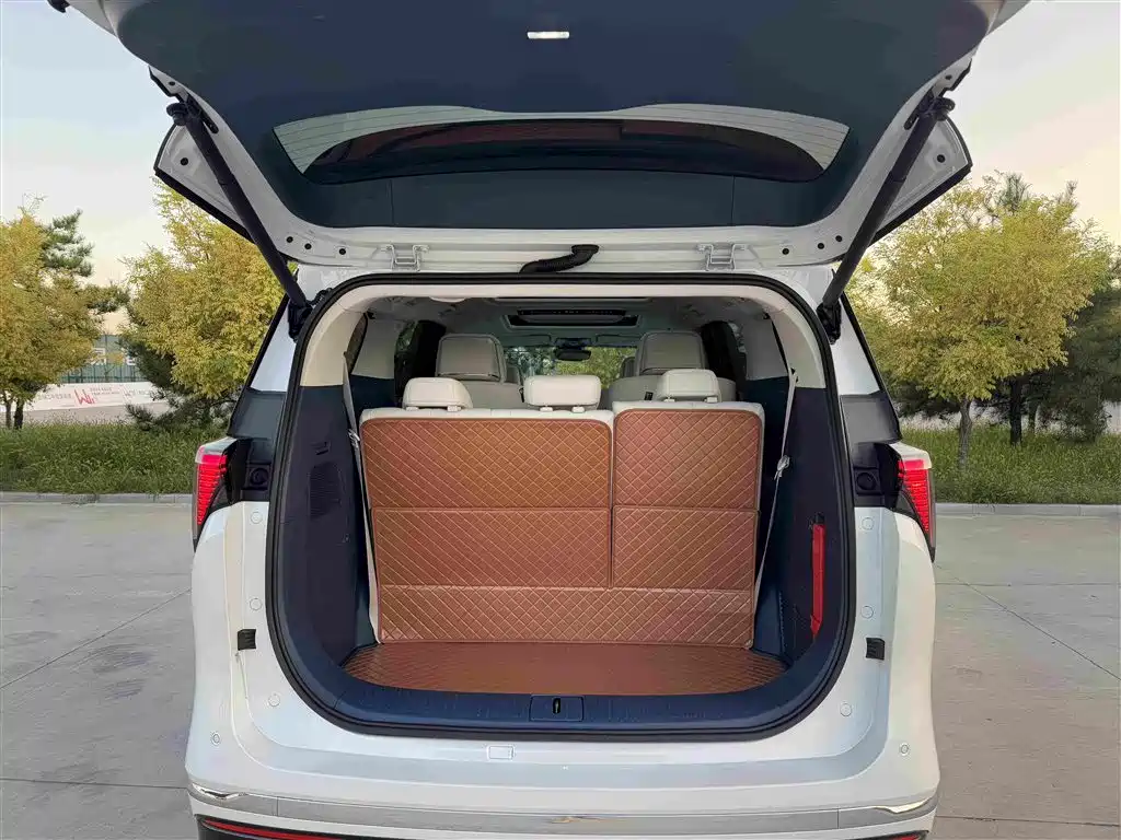 Buick GL8 Hybrid — миниатюра 22