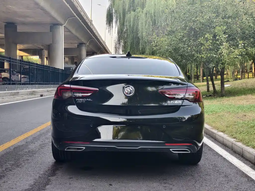 Buick Regal — миниатюра 9