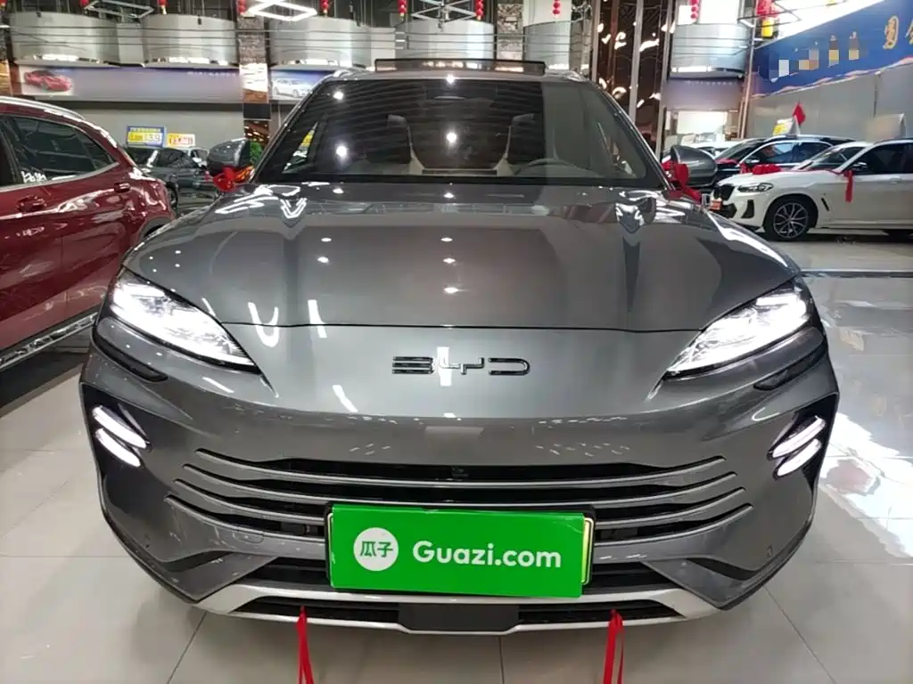 BYD PLUS New Energy — миниатюра 3