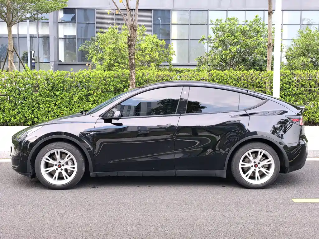 Tesla Model Y — миниатюра 7
