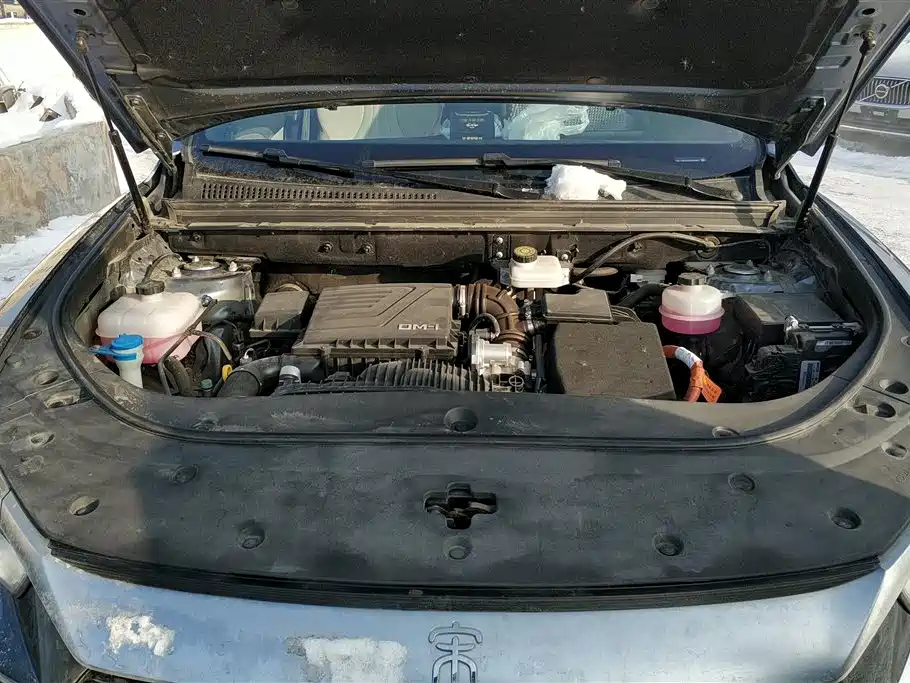 BYD SONGJIANG NEW ENERGY