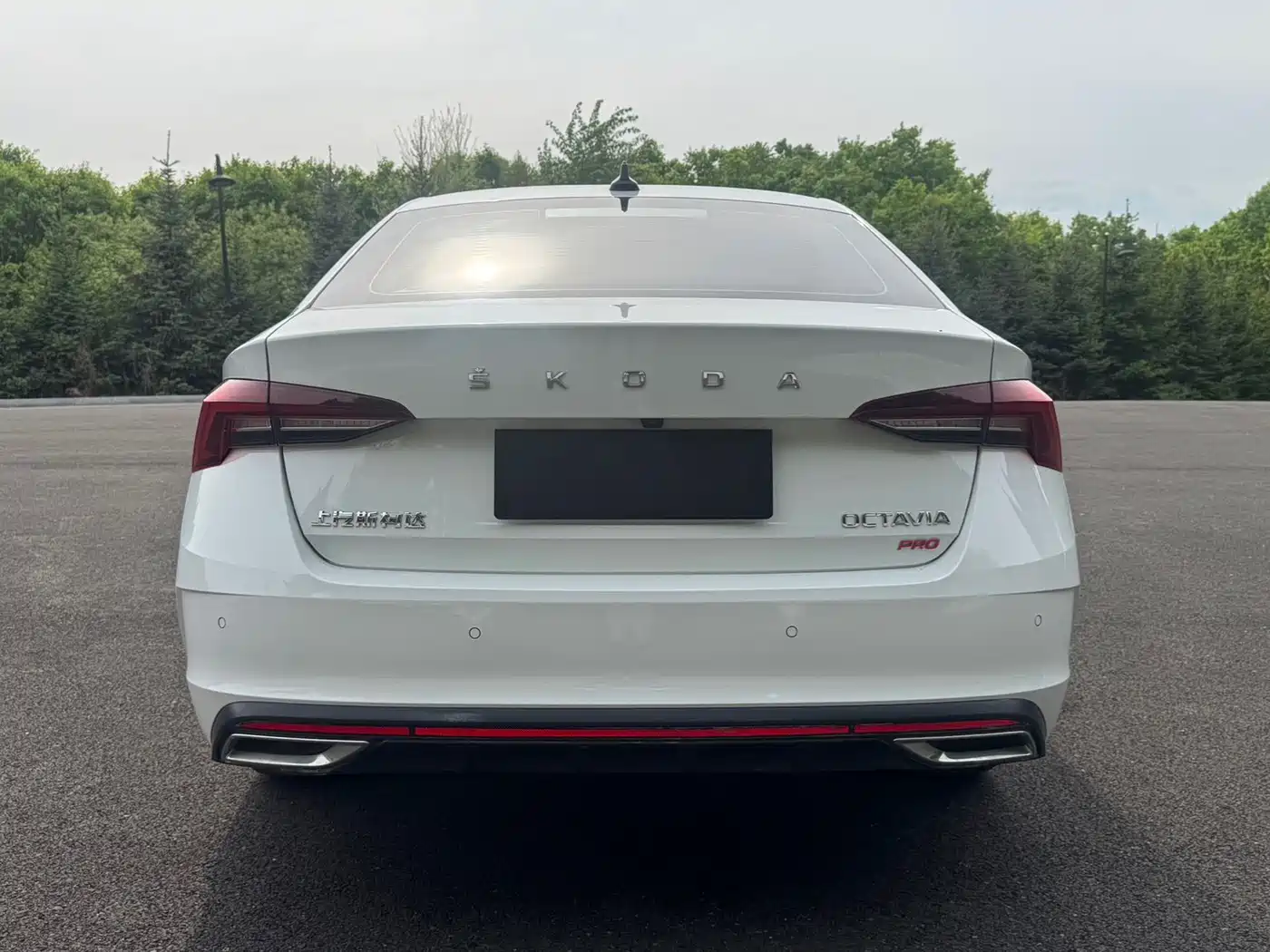 Skoda Octavia 2023 Белый из Китая